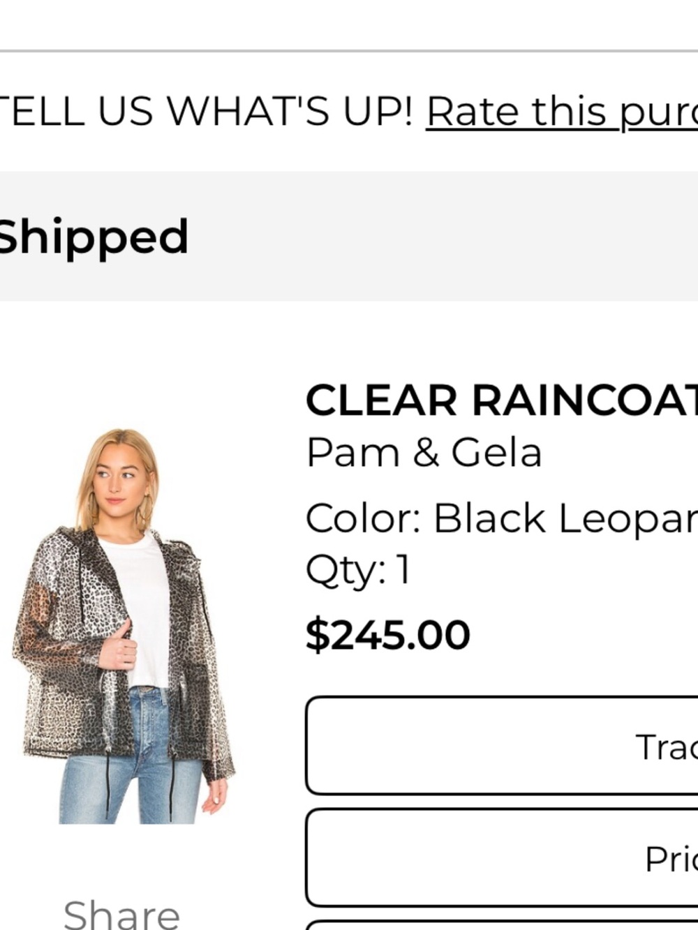 Pam & Gela Clear Leopard-Print Raincoat in Black